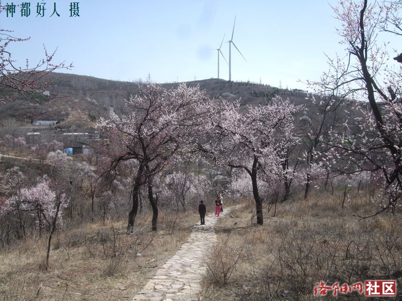 DSCF4163.JPG