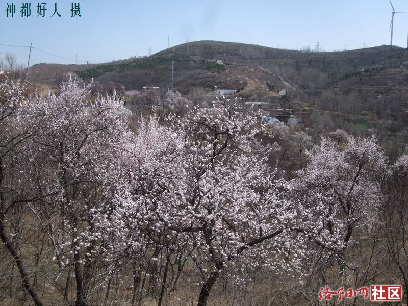 DSCF4164.JPG