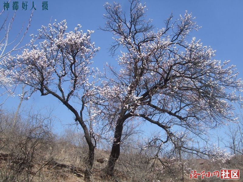 DSCF4165.JPG