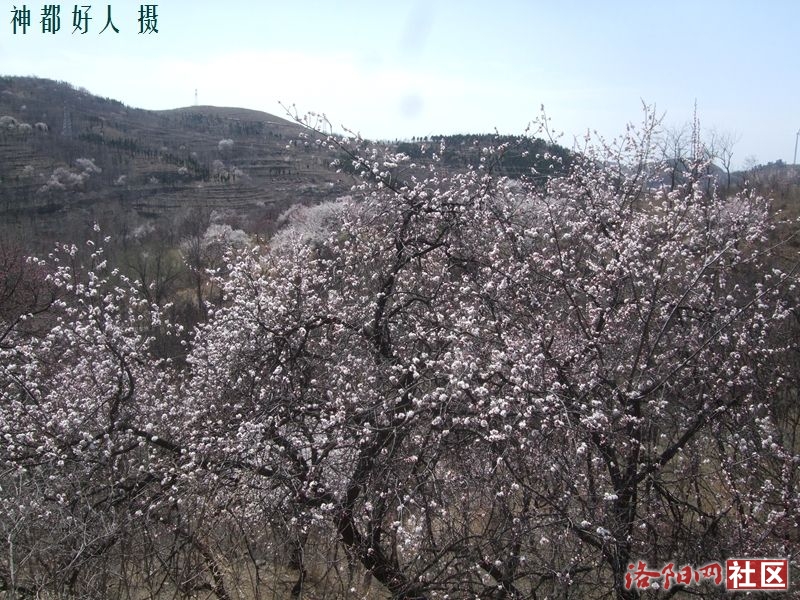 DSCF4167.JPG