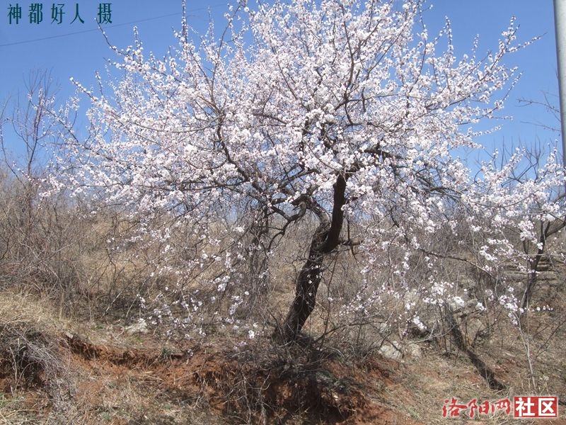 DSCF4169.JPG