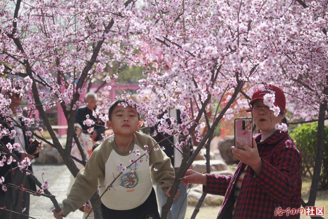 _MG_9809.JPG