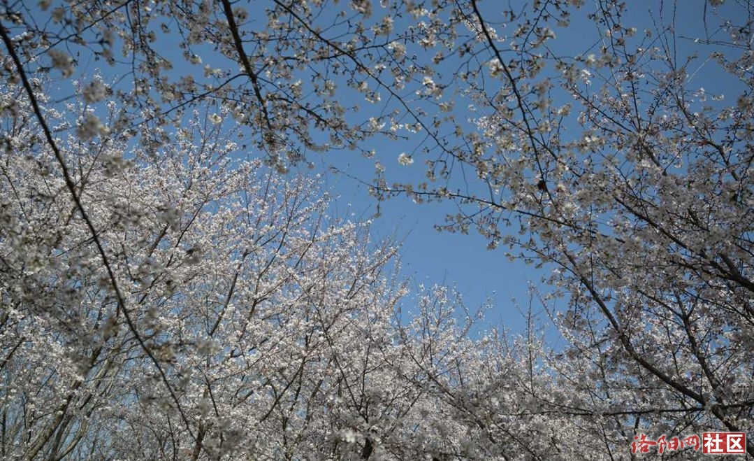 AAA_4938_.jpg