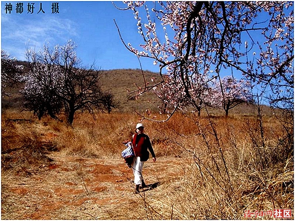 񶼺.ӻ.jpg