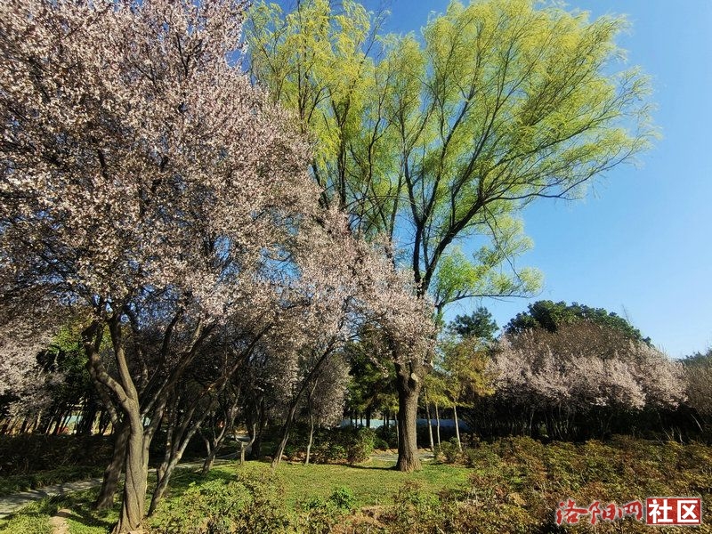 ff4df5ea40f53ec21dbb49d2c4b22af.jpg