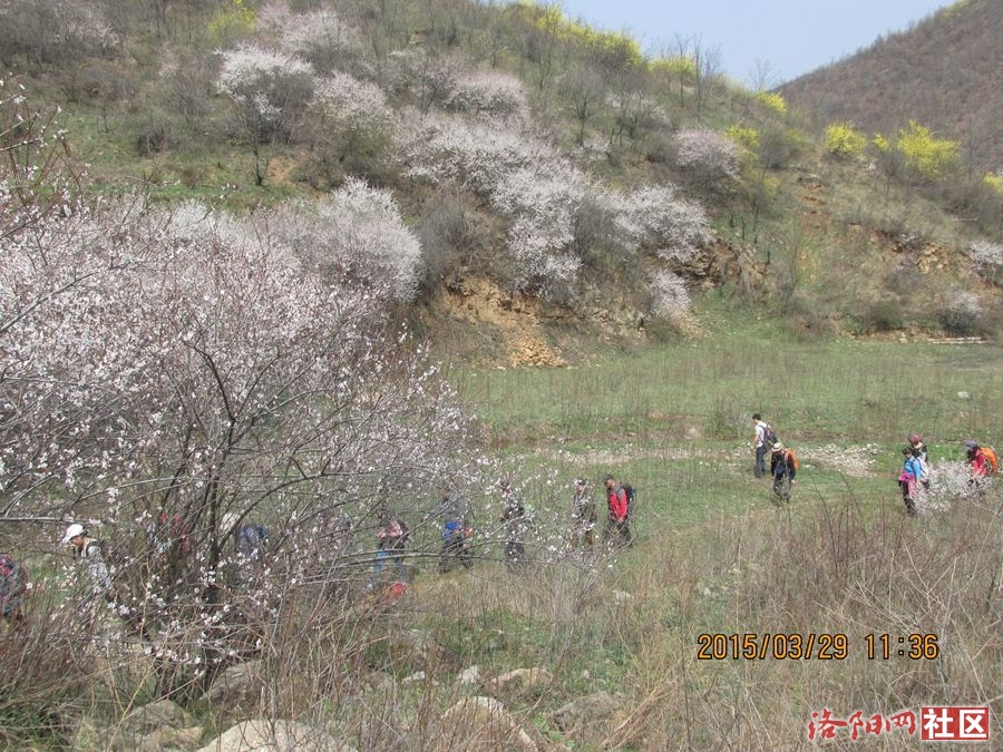 070.jpg