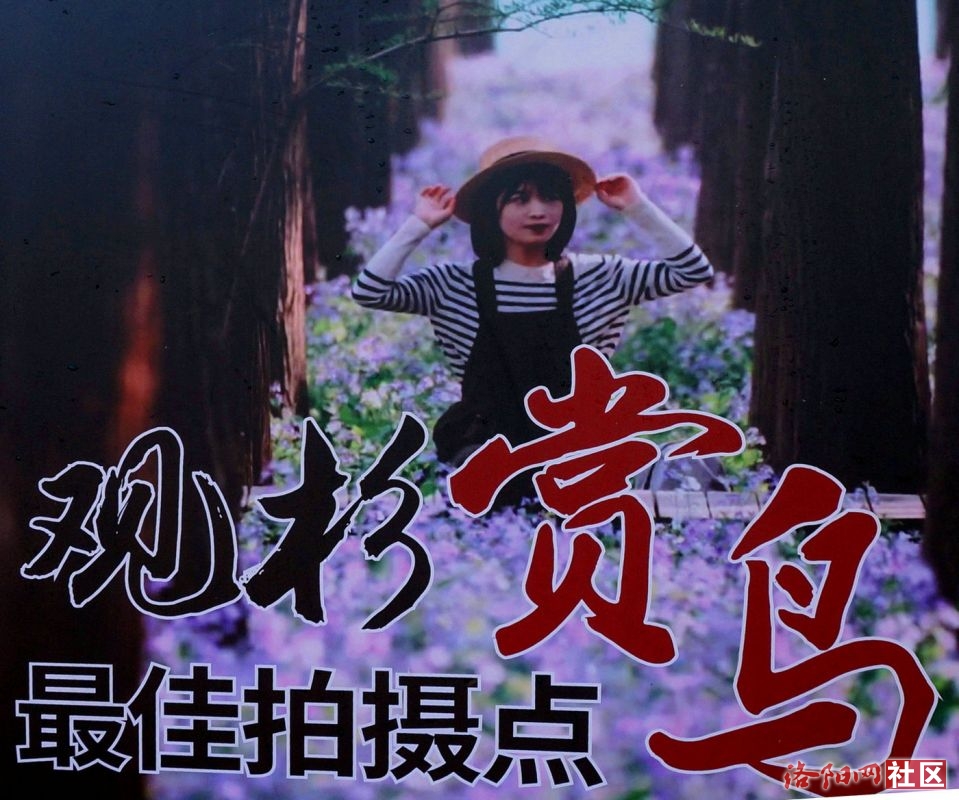 DSC08815.jpg