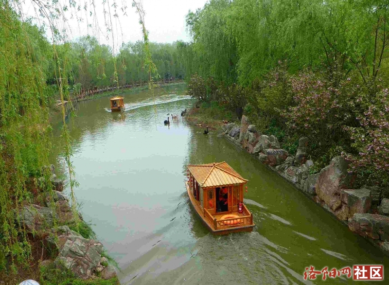 曲徑通幽處,花木四時新__從政坊遊園掠影-攝影天地-洛陽社區 - 洛陽網