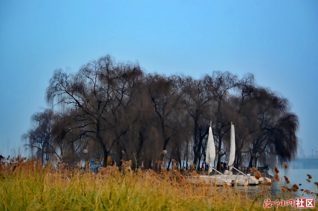 讓我們一起來看洛浦公園景色一角-攝影天地-洛陽社區 - 洛陽網-www.